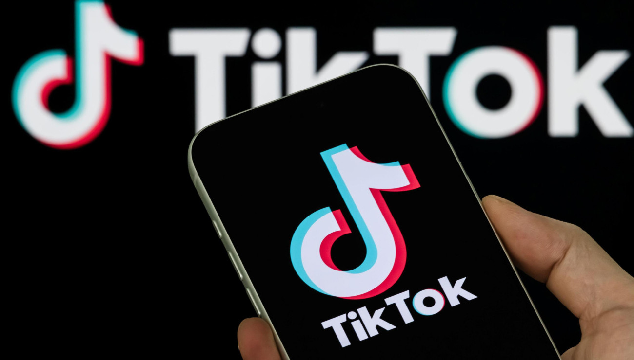 Understanding the TikTok Algorithm